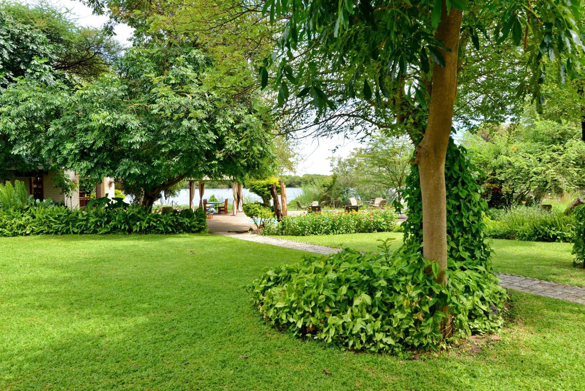 River View Lodge Касане Номер фото